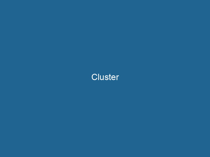Cluster-2-6311128