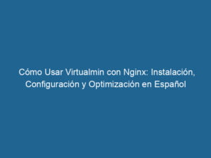 como-usar-virtualmin-con-nginx-instalacion-configuracion-y-optimizacion-en-espanol-3-9405816