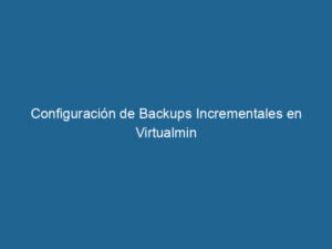 configuracion-de-backups-incrementales-en-virtualmin-3-2119289