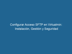 configurar-acceso-sftp-en-virtualmin-instalacion-gestion-y-seguridad-3-9856126