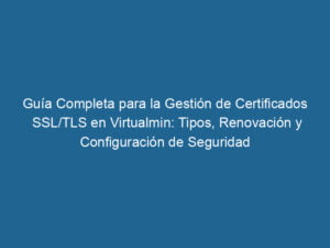 guia-completa-para-la-gestion-de-certificados-ssl-tls-en-virtualmin-tipos-renovacion-y-configuracion-de-seguridad-3-1511825