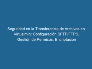 seguridad-en-la-transferencia-de-archivos-en-virtualmin-configuracion-sftp-ftps-gestion-de-permisos-encriptacion-y-monitoreo-de-seguridad-3-7155751
